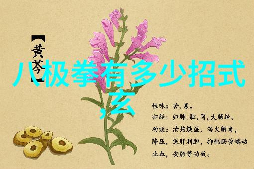 女生幽灵队的创立传说