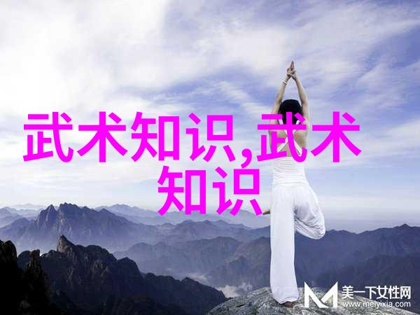 武林秘籍拳谱神功