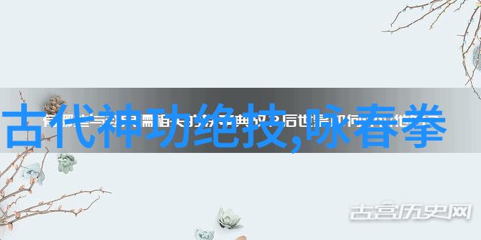 武术基本功网站-练就真功夫武术基本功网站指南