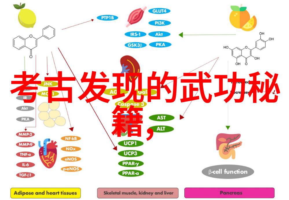 怎样判断自己是否适合从事武术或功夫学习