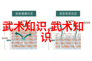 武术初学者必备从基础招式到内功训练的全方位引导