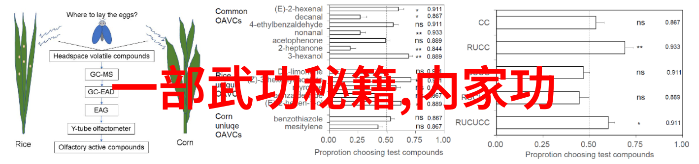 玄幻小说宗门势力名字我是大侠主宰九州