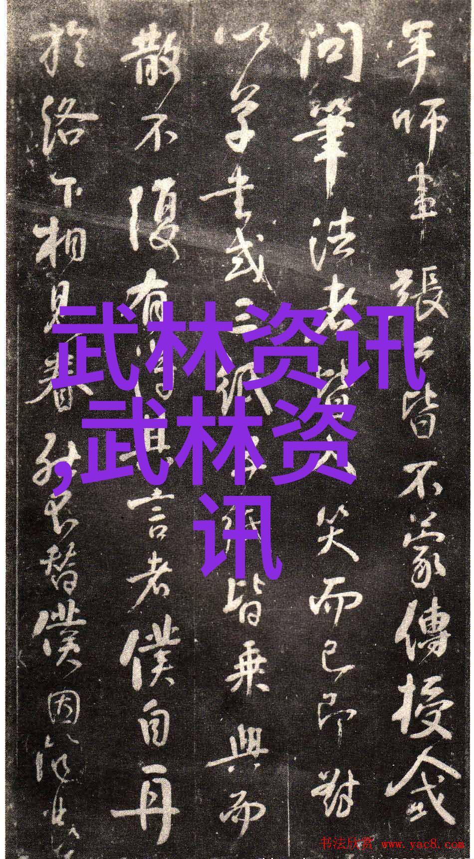 太极拳的包容性像邱慧芳24式太极拳全套教学那样温柔地从推手中向我们展示着它的博大精深