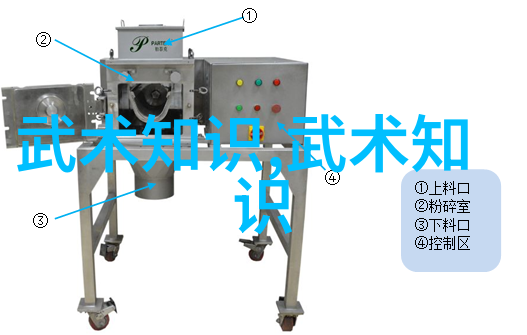 武学自研八极拳的秘密与挑战