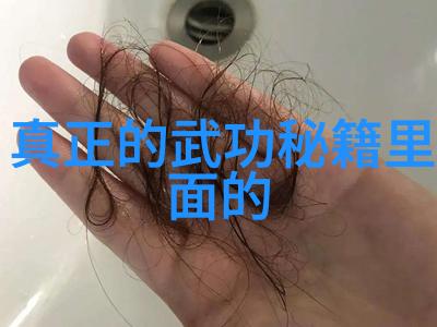 武术刚开始练的基础技术与体能训练原则研究