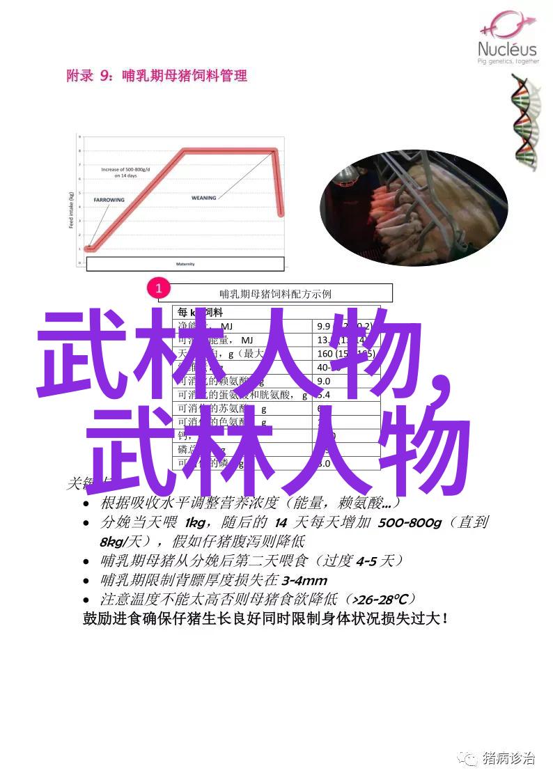 武功秘籍大全招式拳法图片我手中的秘籍揭秘武林绝学的每一个打法