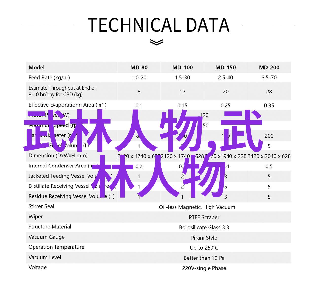 武林秘籍探秘少林寺最神秘拳法