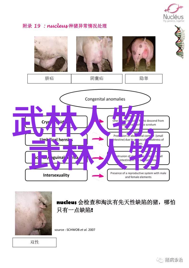 简化版太極拳在不同年龄段人群中的应用和效果是什么样的