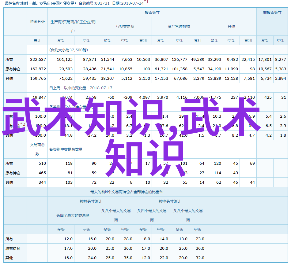 武林秘籍大全遥远古典的诱惑与未解之谜