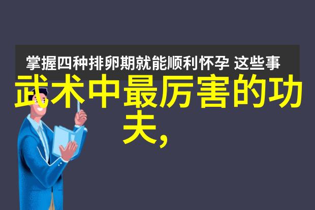 武林16大门派之傅式形意拳精华锁传承拳法秘籍流转世间