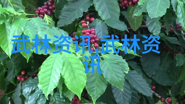 仙盟名录程派高式八卦掌