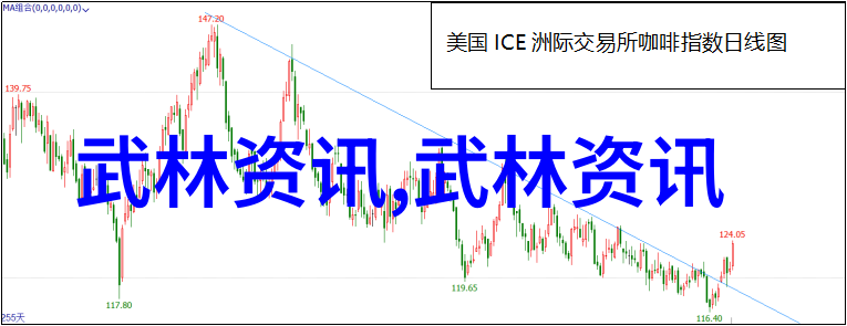 拳法精髓掌握十六招式图解提升实战能力