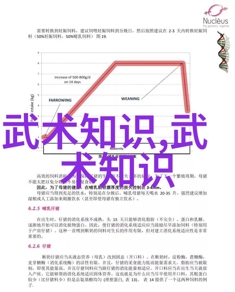 天地剑盟两仪拳之舞在林间