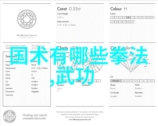 太极拳简化之旅从一系列晃动到一步轻松