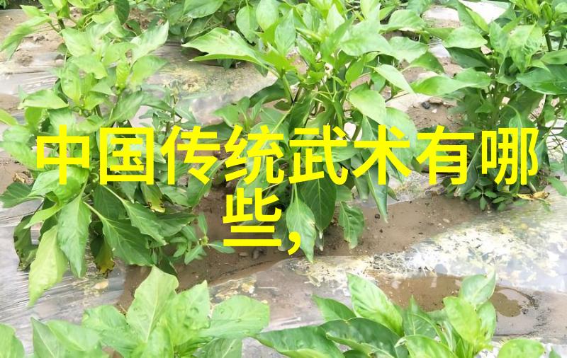 盛宠庶妃我是后宫的隐秘花朵从冷宫到暖阁