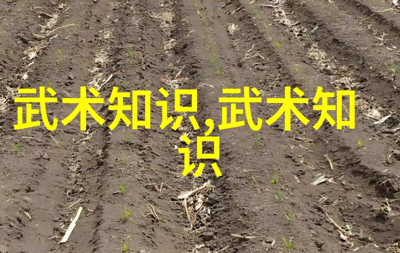 邱慧芳24式太极拳全套教学-掌握邱慧芳教授的经典太极24式太极拳全套教学