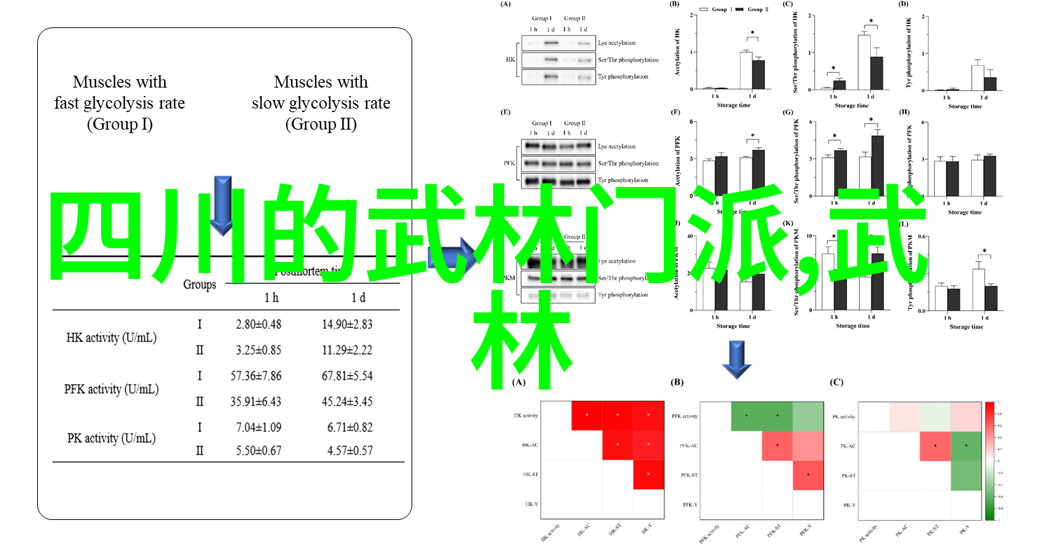 古代武功秘籍-天下英雄谱