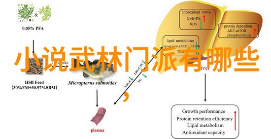 秘籍中的绝技一幅图解千年武学的迷雾