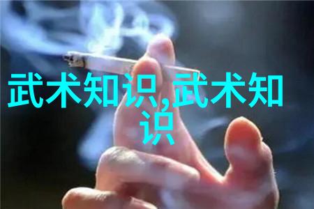 小说里好听的宗门太极拳秘笈套路