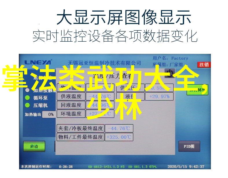 中国拳法的精髓犹如太极拳经中的秘籍多种风格交织成一幅生动的图画