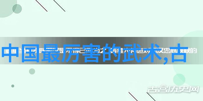 从死八极到活八极揭秘基础武功秘籍的转变之旅