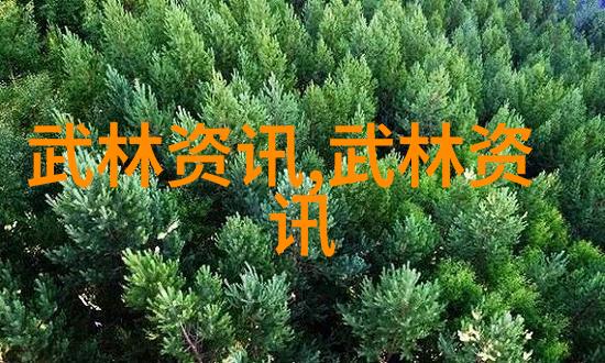 孙建国讲解武氏太极拳套路与六字诀的内涵以及如何在24式中一步步掌握太极拳的精髓