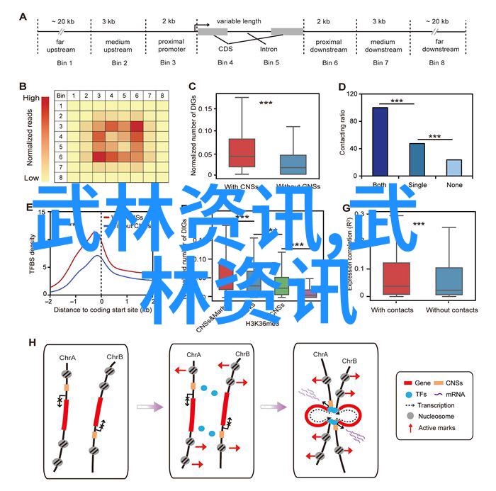 武术资料网我是如何在武术资料网上找到了心中的那一招