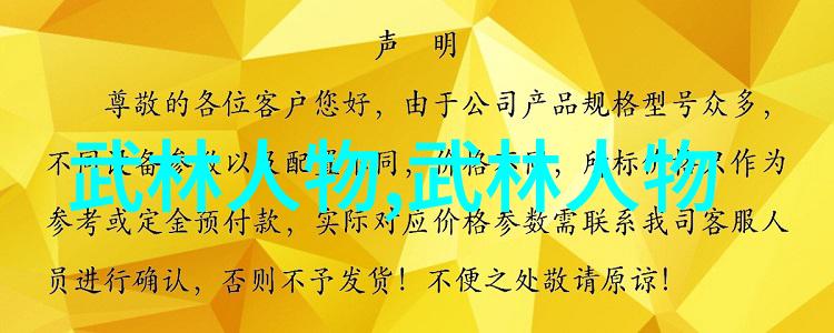 中国功夫秘籍大全内含武术基础招式演练修炼心法等详细指导