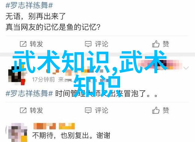 女生帮派秘笈字门太极拳的无形掌控