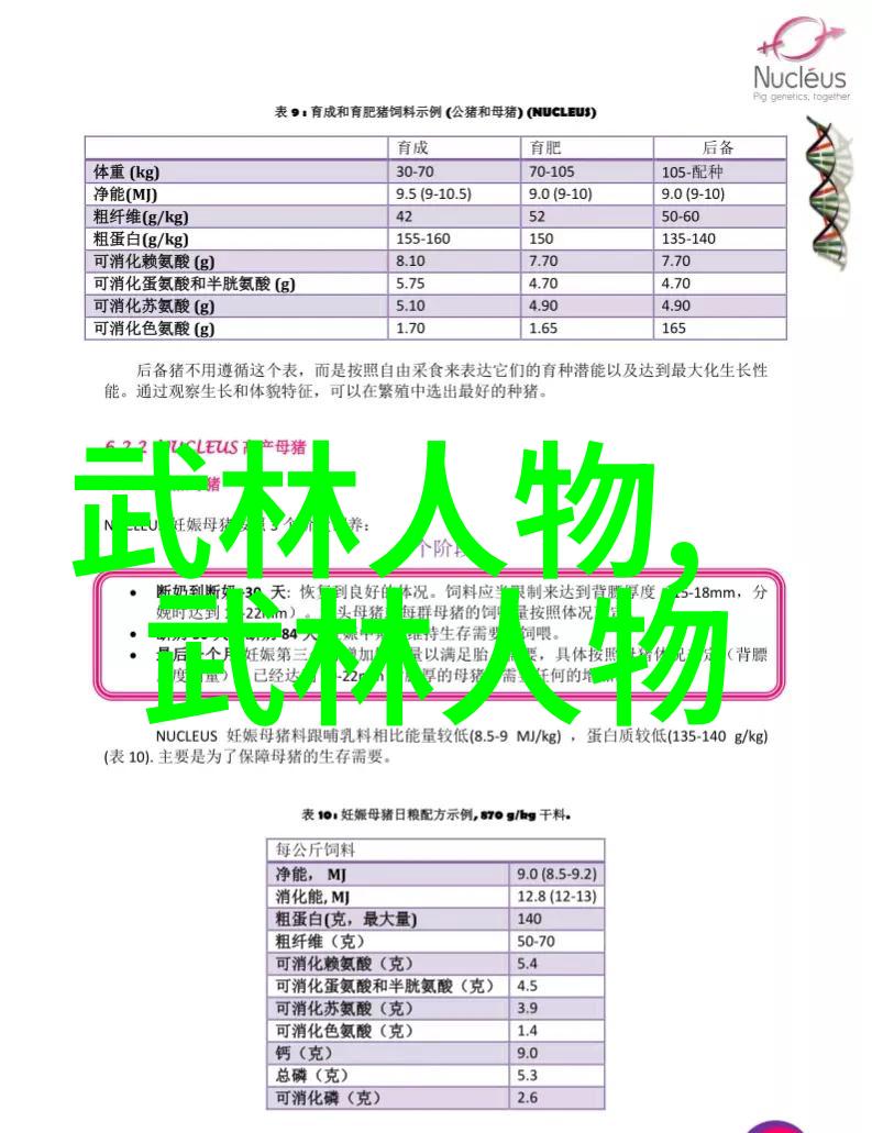 武术刚开始练揭秘基本功与形意之道