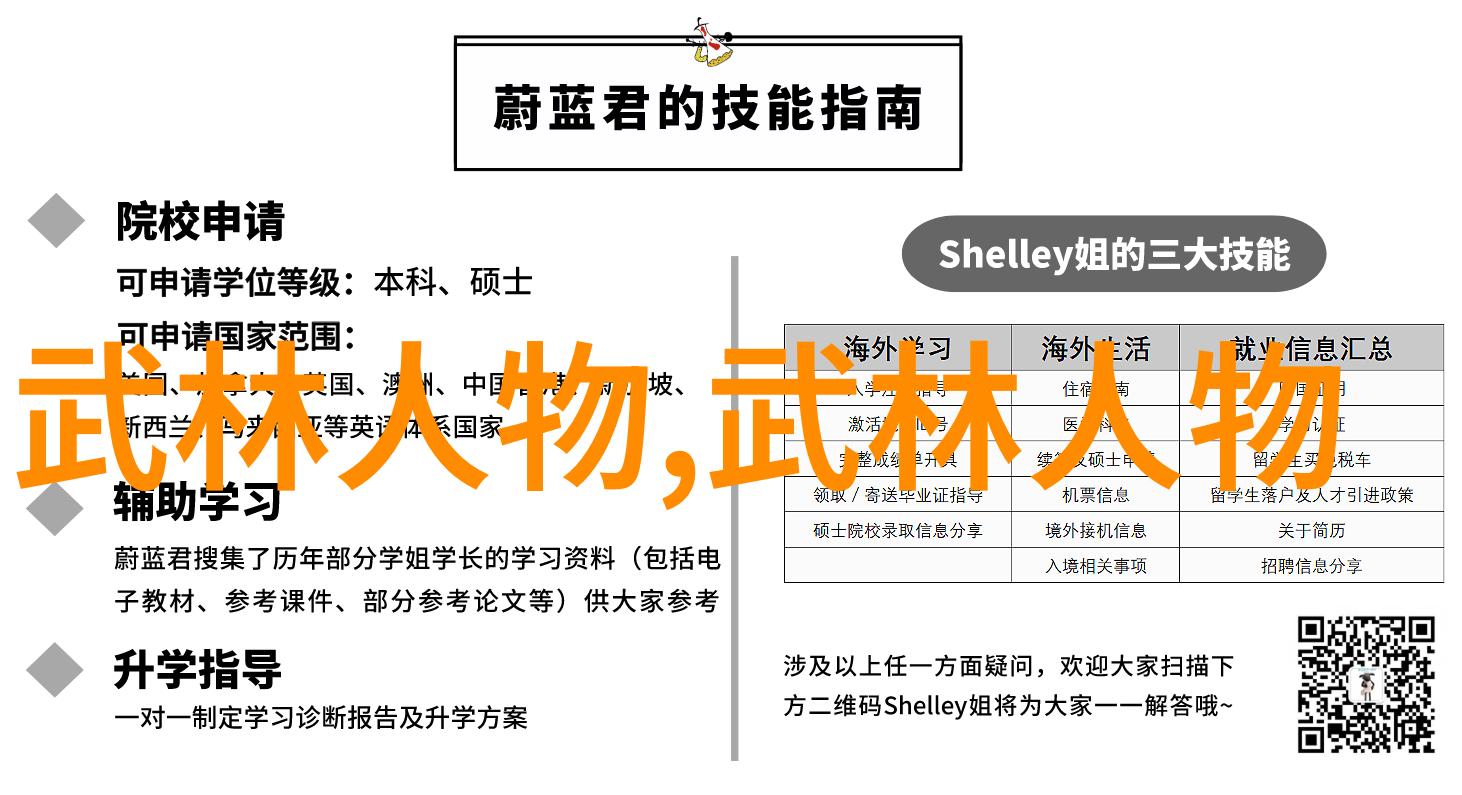 霸道武林新贵最新霸气军团名绝世拳王少林洪门武功