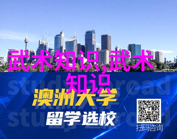 24式太极拳口诀表记住这套秘密词汇让你的练习更有趣