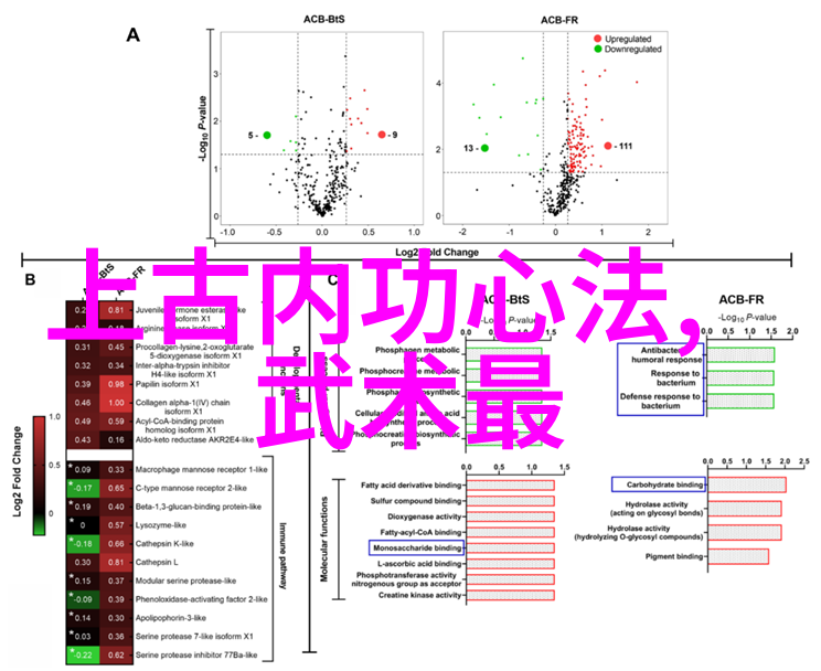 天籁之音探索仙盟古风名字的奥秘