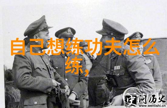 中国拳法有几种武林秘籍的传承与演变