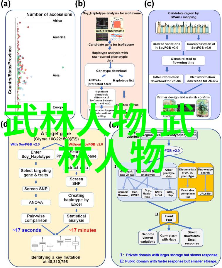 中国武术秘籍书八极拳六手翻对练