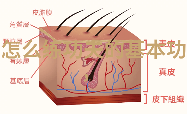 古龙小说中提到的独孤九剑来自何处