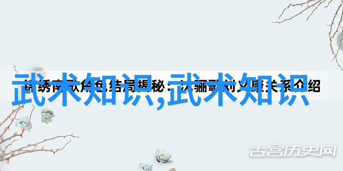 古韵激荡中国30个武术门派的传奇与现代挑战