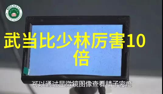 中国十大武术排行榜我眼中的中国武术霸主揭秘那些被称赞的艺术