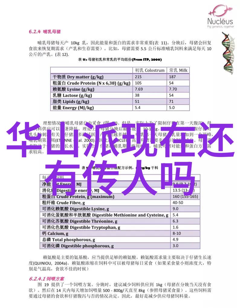 帮派集体成员名字-街头的标志探索帮派集体成员名字背后的文化意义