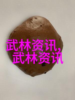 中国武术的丰富魅力与深厚文化底蕴