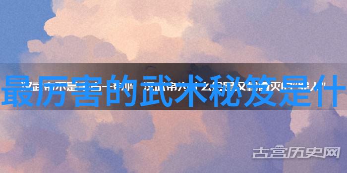 白国栋先生反复探讨戳脚翻子技巧揭示怎样才能练就一手高超的夫子功法