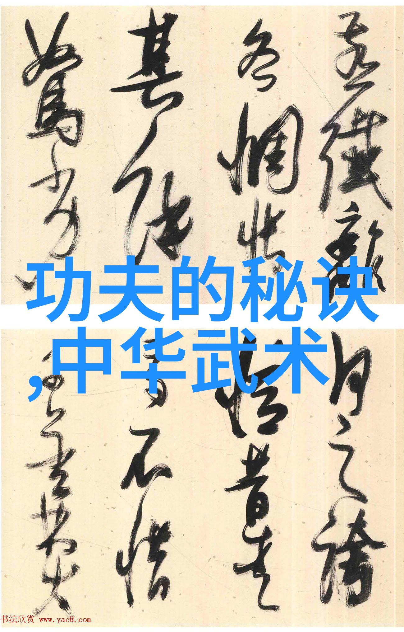 余门拳四字高雅不俗的游戏名如同一位武林高手以其独特的拳法技巧在江湖中扬名