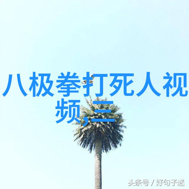 小小体能大师少儿散打武术的魅力