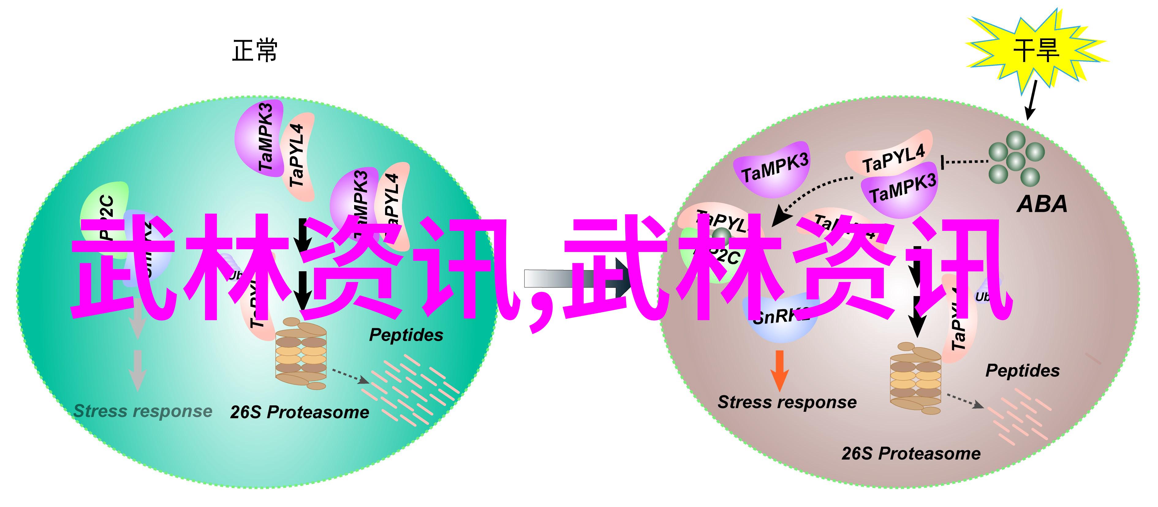 会武术的人很危险别忘了我是你的师父