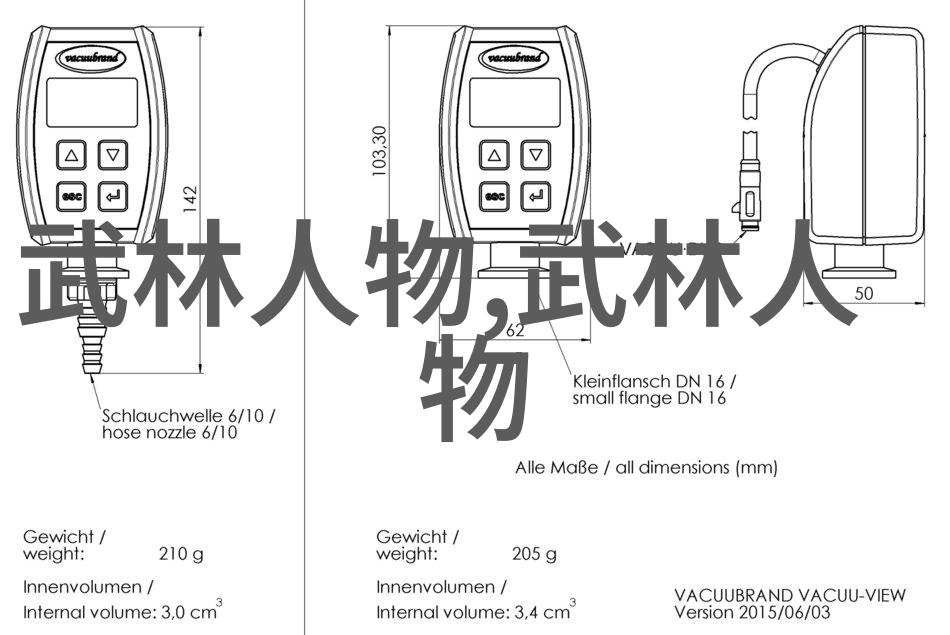 武术精髓探究十二大基本动作的奥秘