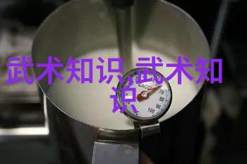 鹰爪拳十三式太极拳的灵动之舞