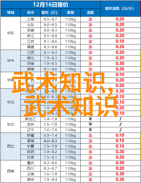 星辰剑法秘诀