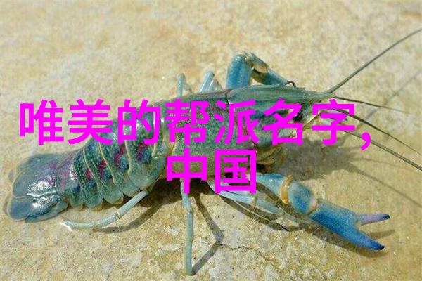 中国武学宝典揭秘古代功夫之谜