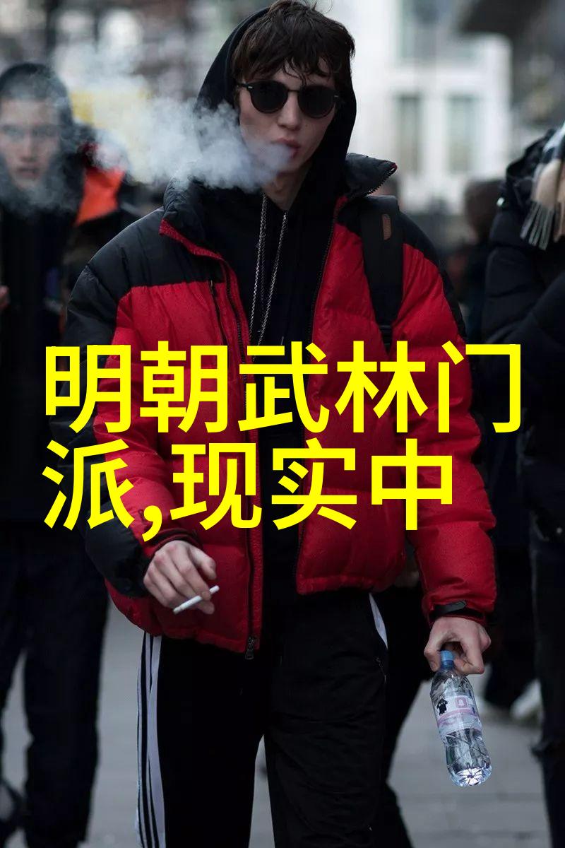 经典重现探索武功秘籍大全中著名拳法历史故事