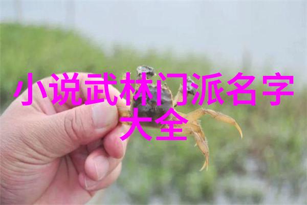 武林争霸哪一路修炼术最为神通广大